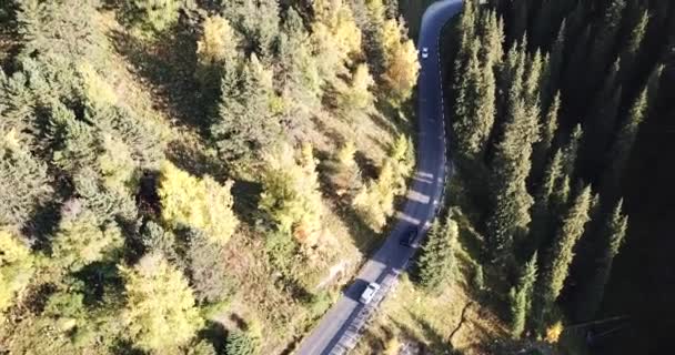 Το αυτοκίνητο οδηγεί σε ένα δρόμο μέσα στο δάσος. Αεροσκάφος — Αρχείο Βίντεο