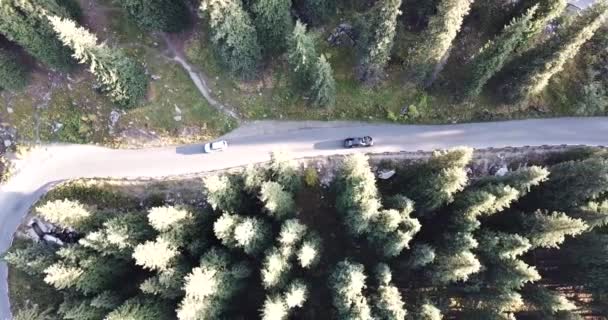 To auto jede po silnici v lese. Letecký — Stock video