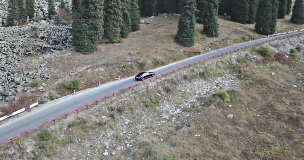 차가 숲 속 도로에서 달리고 있어요. 공중 비행 — 비디오