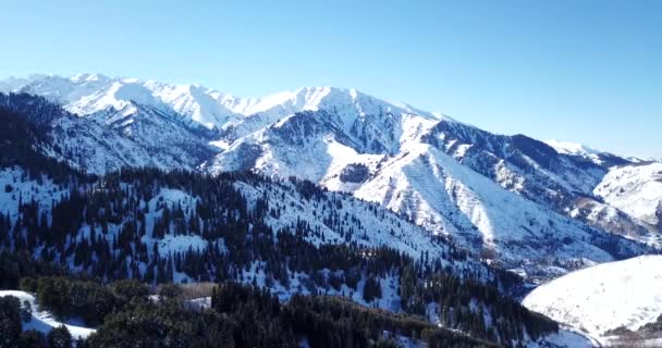 Floresta de inverno no alto das montanhas. — Vídeo de Stock