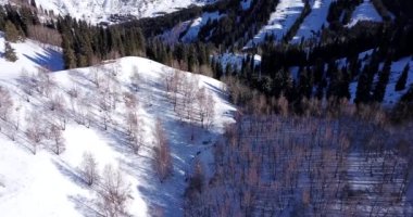 Dağlarda yaşayan insanların aktif olarak yeniden yaratılması.