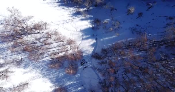 Aktive Erholung der Menschen in den Bergen. — Stockvideo