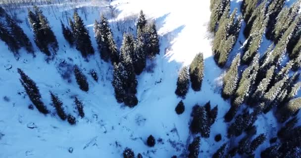 Recreação ativa de pessoas nas montanhas. — Vídeo de Stock