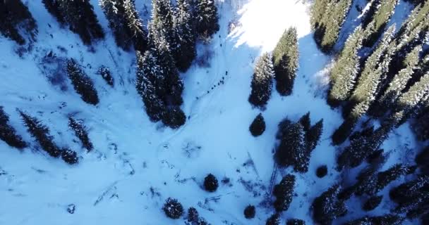 Recreação ativa de pessoas nas montanhas. — Vídeo de Stock