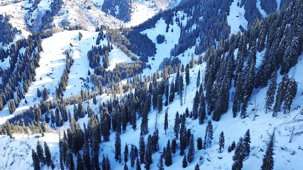 Dağların Tepesindeki Kış Ormanı Karlı Dağların Tepelerin Tahttan Manzarası Ağaçlar — Stok fotoğraf