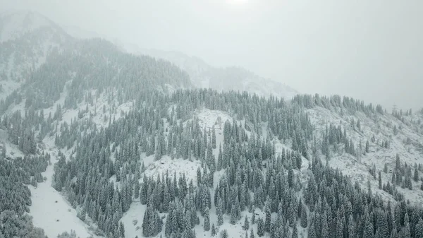 Kış Ormanı Taze Karla Kaplıdır Dağlar Tepeler Tamamen Beyaz Kar — Stok fotoğraf