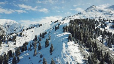 Dağlarda kar ormanı, bulutların üstünde.