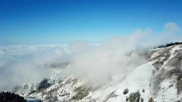 Schneewald in den Bergen, über den Wolken. — Stockfoto