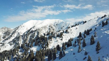 Dağlarda kar ormanı, bulutların üstünde.