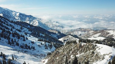 Dağlarda kar ormanı, bulutların üstünde.