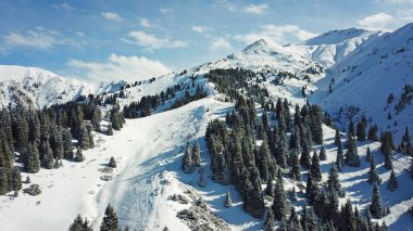 Dağlarda kar ormanı, bulutların üstünde.