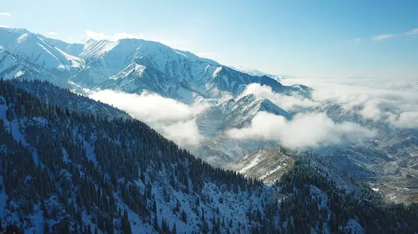 Foresta di neve in montagna, sopra le nuvole. — Foto Stock