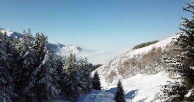 Dağlarda kar ormanı, bulutların üstünde.