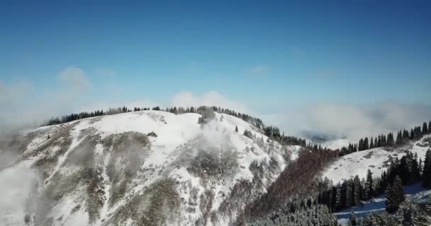 山の中の雪の森、雲の上. — ストック動画