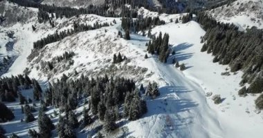 Dağlarda kar ormanı, bulutların üstünde.