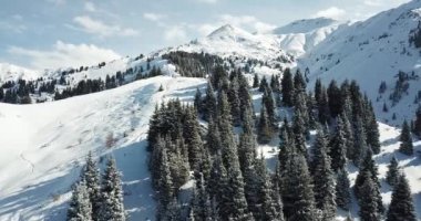 Dağlarda kar ormanı, bulutların üstünde.