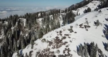 Bir adam karlı bir yamaçta yürüyor.