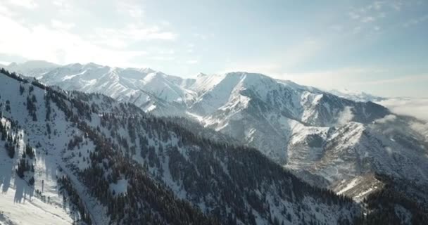 Śnieżny las w górach, nad chmurami. — Wideo stockowe