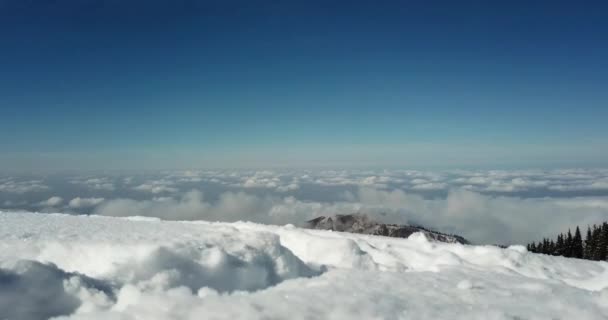 Schneewald in den Bergen, über den Wolken. — Stockvideo