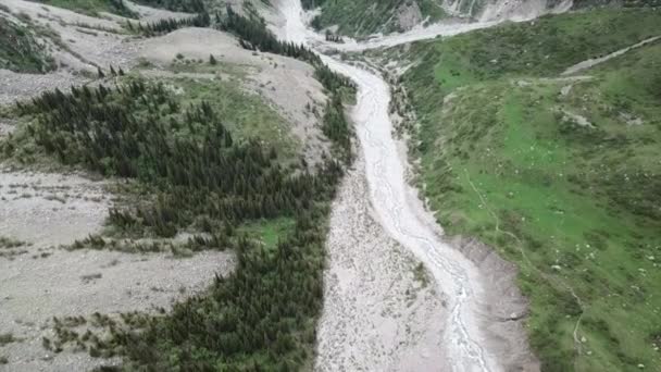 The river runs through a green gorge in mountains. — Stock Video