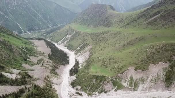 Το ποτάμι διασχίζει ένα καταπράσινο φαράγγι στα βουνά. — Αρχείο Βίντεο