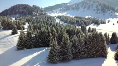 Karlı dağlar ve orman manzarası.