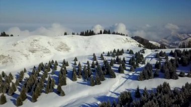 Karlı dağlar ve orman manzarası.