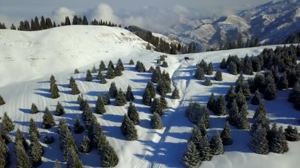 Vista de montanhas nevadas e floresta. — Vídeo de Stock