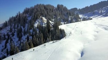 Karlı dağlar ve orman manzarası.