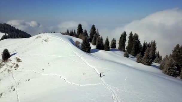 Vista delle montagne innevate e della foresta. — Video Stock