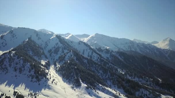 Vista delle montagne innevate e della foresta. — Video Stock