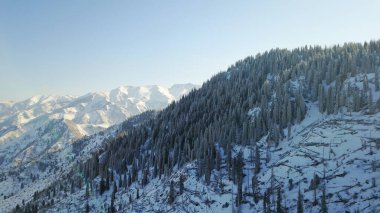 Karlı dağlar ve orman manzarası.