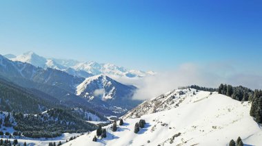 Karlı dağlar ve orman manzarası.