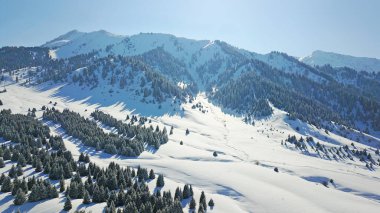 Karlı dağlar ve orman manzarası.