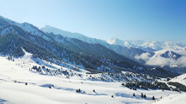 Karlı dağlar ve orman manzarası.