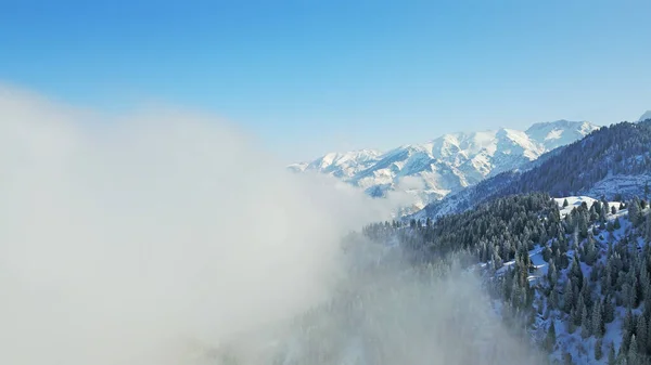 Vista de montañas nevadas y bosque. Imagen De Stock