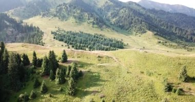 Yeşil dağlarda şafak.