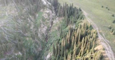 Yeşil dağlarda şafak.