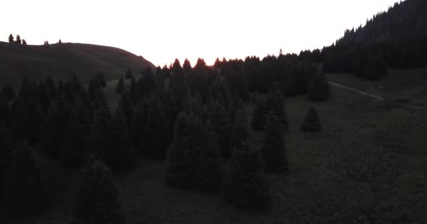 Amanhecer nas montanhas verdes. — Vídeo de Stock