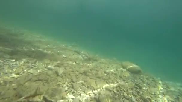 Disparos bajo el agua de un lago de montaña. — Vídeos de Stock