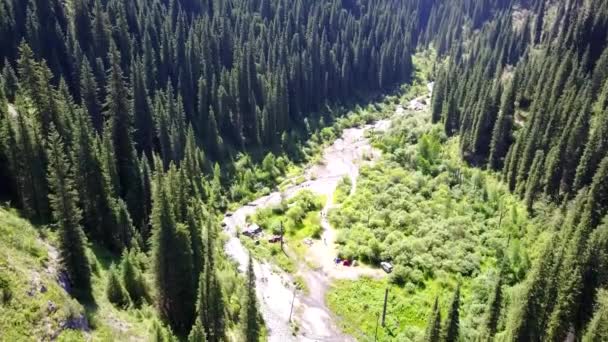 Coniferous trees rise from depths of mountain lake — Stock Video