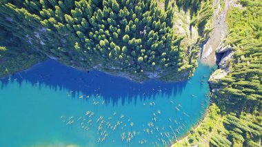 Kozalaklı ağaçlar dağ gölünün derinliklerinden yükseliyor.
