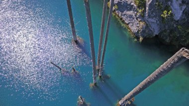 Kozalaklı ağaçlar dağ gölünün derinliklerinden yükseliyor.