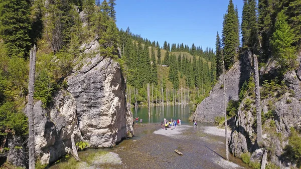 Kozalaklı ağaçlar dağ gölünün derinliklerinden yükseliyor.