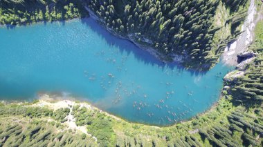 Kozalaklı ağaçlar dağ gölünün derinliklerinden yükseliyor.