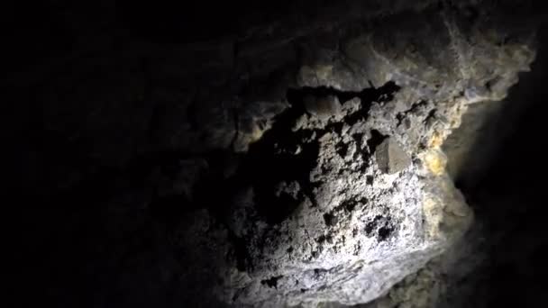 Luce da una torcia nella parete della grotta. — Video Stock