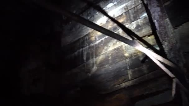 Fényt egy elemlámpából a barlang falában.. — Stock videók