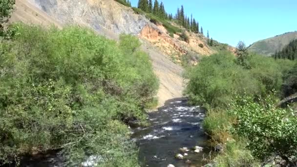 The river runs along the canyon. — Stock Video