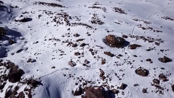 Un gruppo di scalatori sta camminando in montagna. — Video Stock