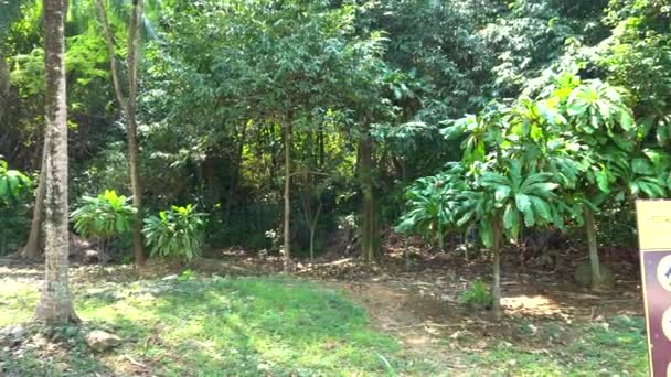 Dschungelinseln in Thailand. Schild mit Verboten — Stockvideo